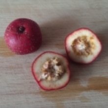 サンザシジュース 山査冰糖水 レシピ 作り方 By はかせ55 楽天レシピ サンザシジュース 山査冰糖水 レシピ 作り方 By はかせ55 楽天レシピ